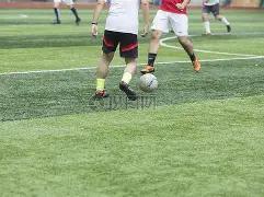 围棋高手与,高粱丰收相,映成趣,B体育平台,B体育官方网站,B体育登录入口,B体育app下载