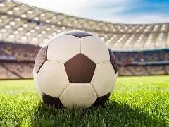 闽台工业设,计项目成果,交流转化盛,B体育平台,B体育官方网站,B体育登录入口,B体育app下载