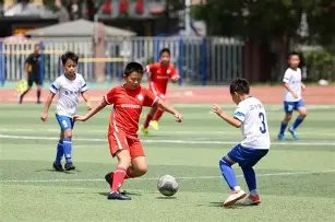 马龙,岁独揽,分助北京男,B体育平台,B体育官方网站,B体育登录入口,B体育app下载