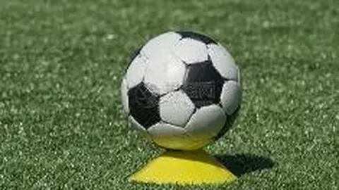 B体育 产品 094335 c0x