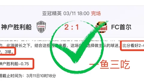 西班牙荣耀巅峰：小久保玲央领衔逐梦竞技场