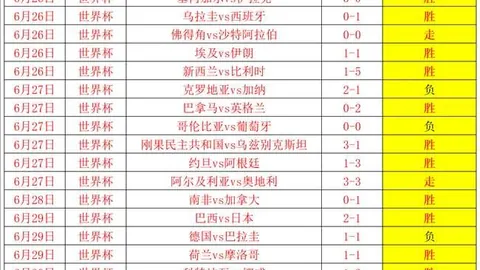 B体育B体育官网数据冲到175926引发关注