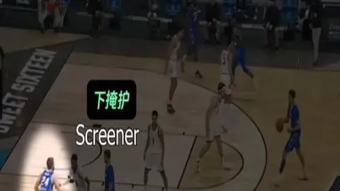 体育 ，B体育娱乐，203428 3